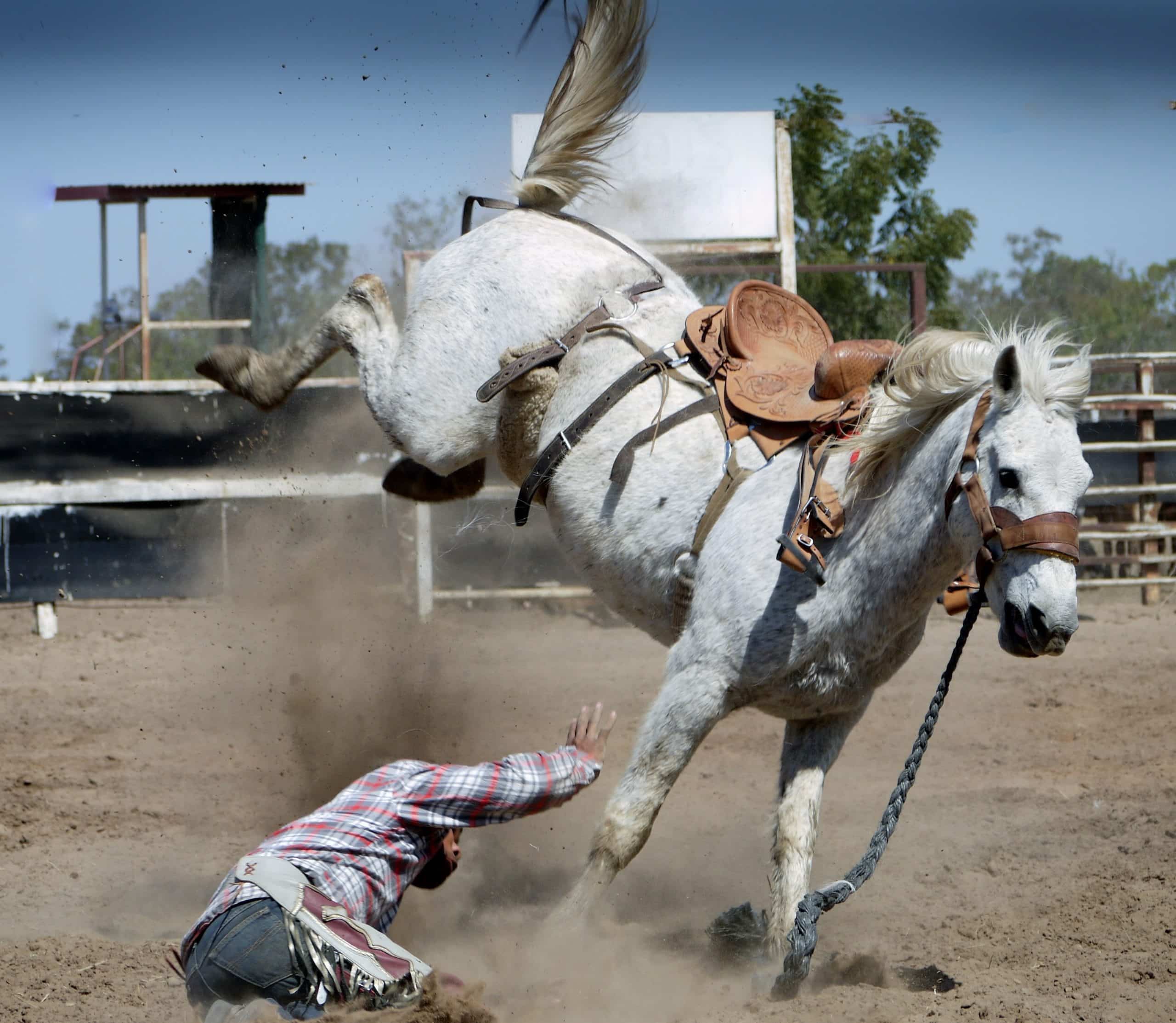 horse accident compensation claim